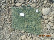 Bidon.Web.Models.AutoPartListItemModel