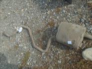 Bidon.Web.Models.AutoPartListItemModel