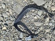 Bidon.Web.Models.AutoPartListItemModel